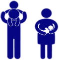 llawlyfr saesneg 2016.pdf